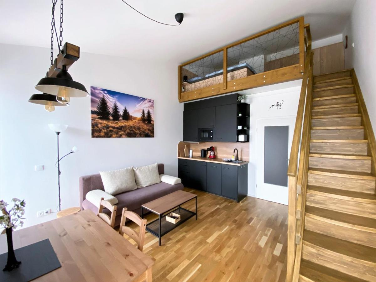 Miky Apartman Klinovec View Лоучна-под-Кліновцем Екстер'єр фото